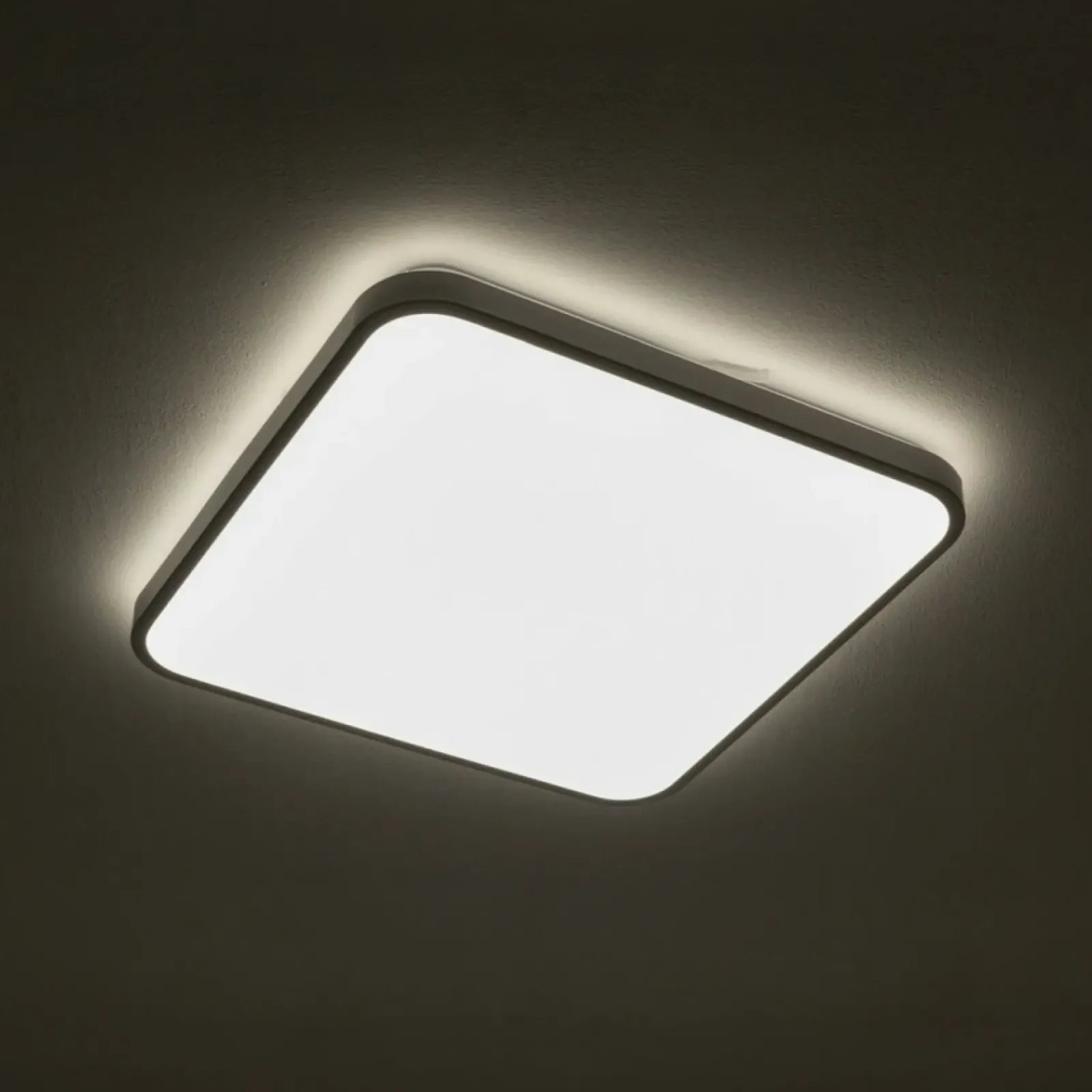 Sklep Kaja Biała, ledowa lampa IP44 43,5x43,5cm 3000K 10991 AGNES LED | Kaja* Lampy Do Łazienki|Plafony Nowoczesne