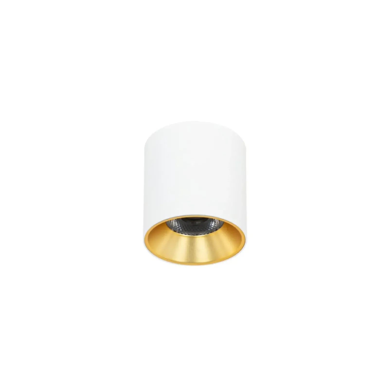 Sklep Kaja Biało-złoty spot LED ⌀7,5cm 3000K CLN-6677-75-WH-GD-3K z serii ALTISMA* Lampy Led