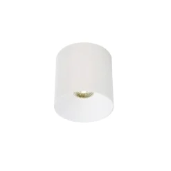 Sklep Kaja downlight ze zintegrowanym LEDem 8738 | Kaja Oświetlenie* Oprawy Podtynkowe