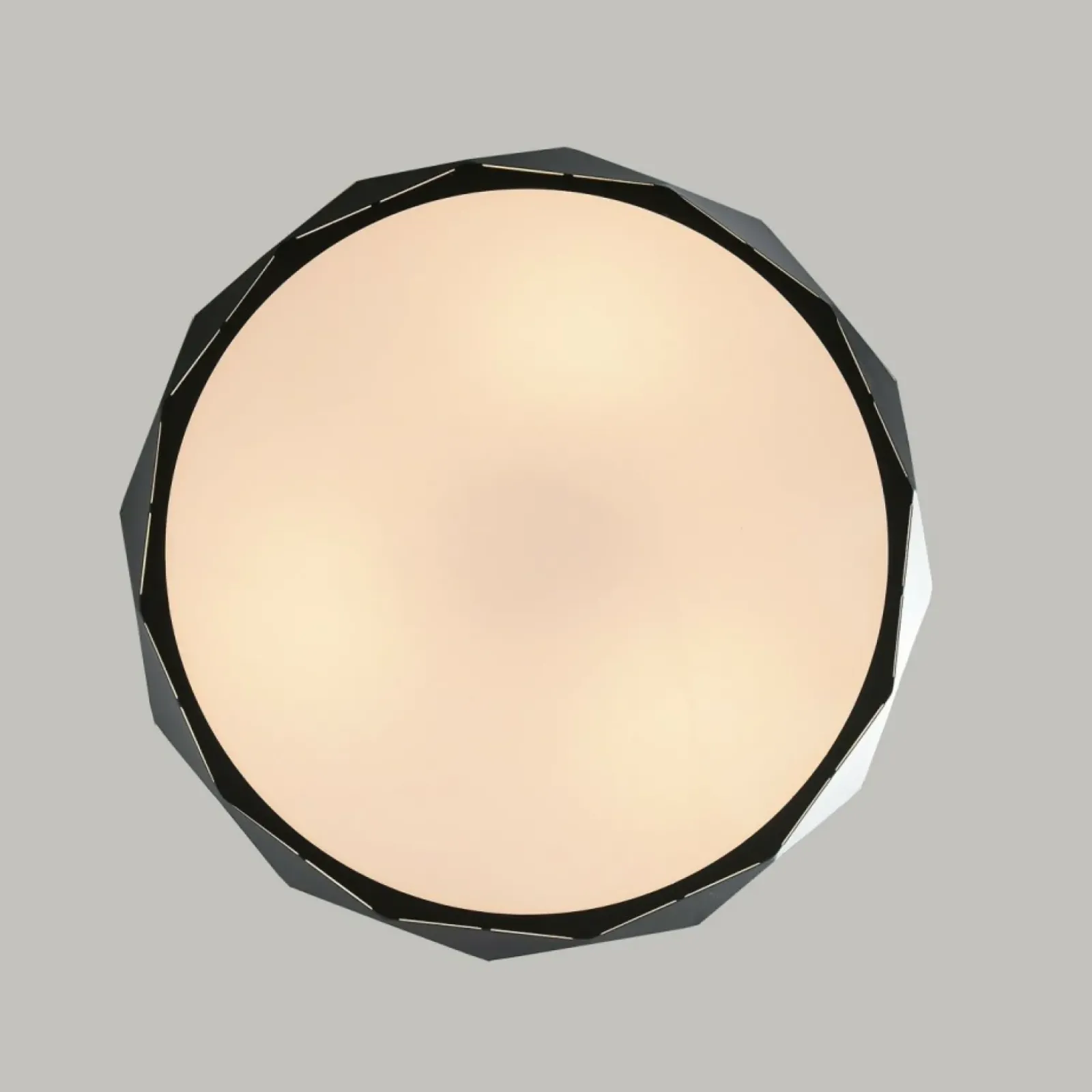 Sklep Kaja Czarna lampa wisząca, do salonu LP-8069/1P BK REUS | Kaja Oświetlenie New