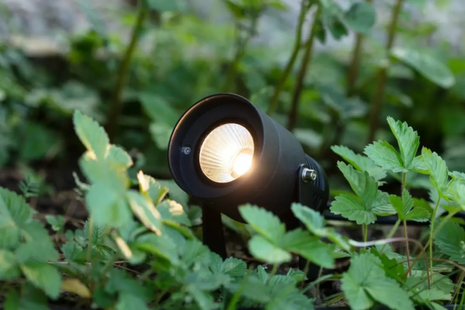Sklep Kaja Czarny reflektor z regulowanym kątem świecenia, system GARDEN24 106930* Lampy Naświetleniowe