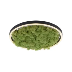 Sklep Kaja Dekoracyjna lampa LED z naturalnym mchem 15391-66 GREEN RITUS | Kaja* Plafony Nowoczesne|Lampy Led