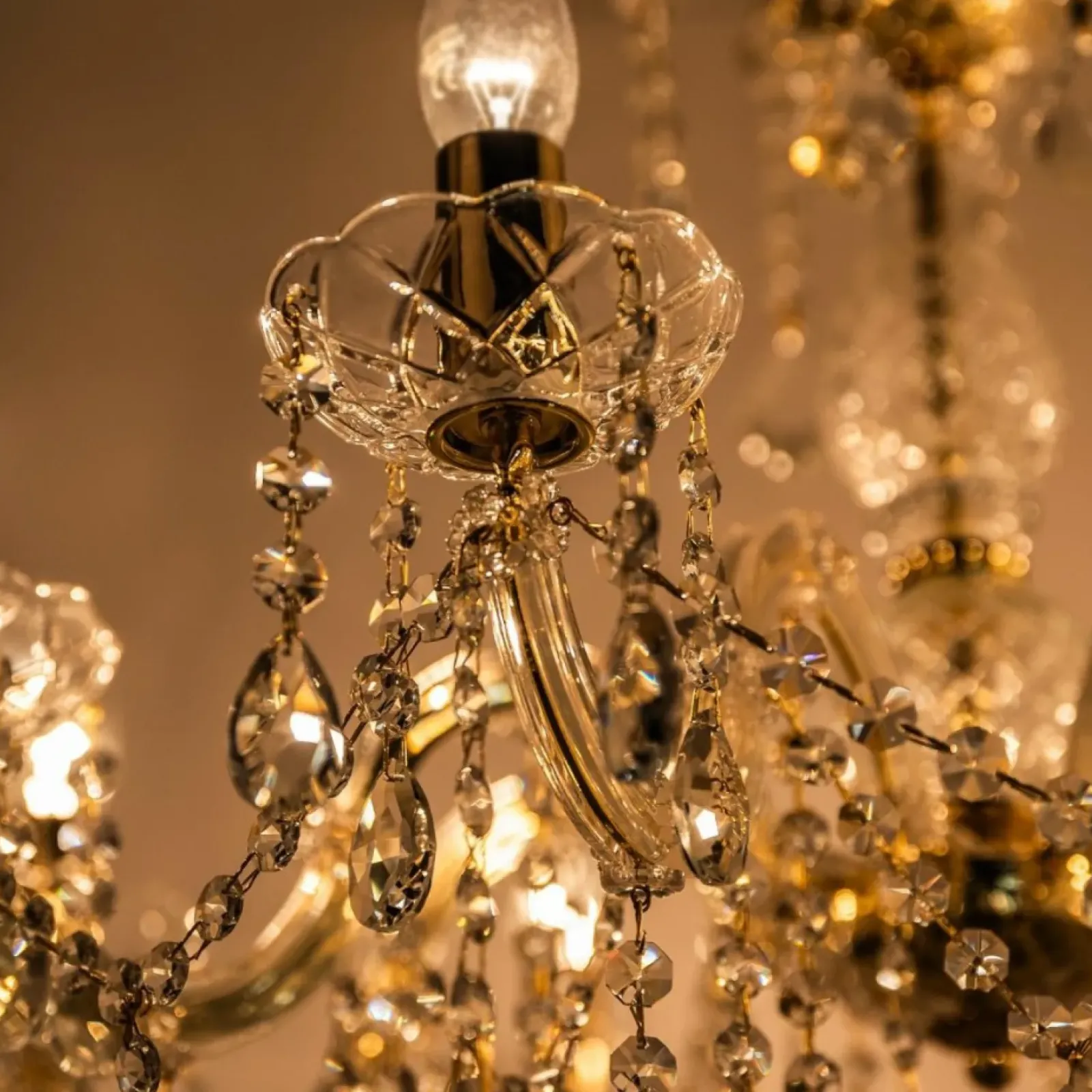 Sklep Kaja Kryształowy żyrandol w stylu glamour ZM 14004/8-GLD CHATEAU | Kaja New