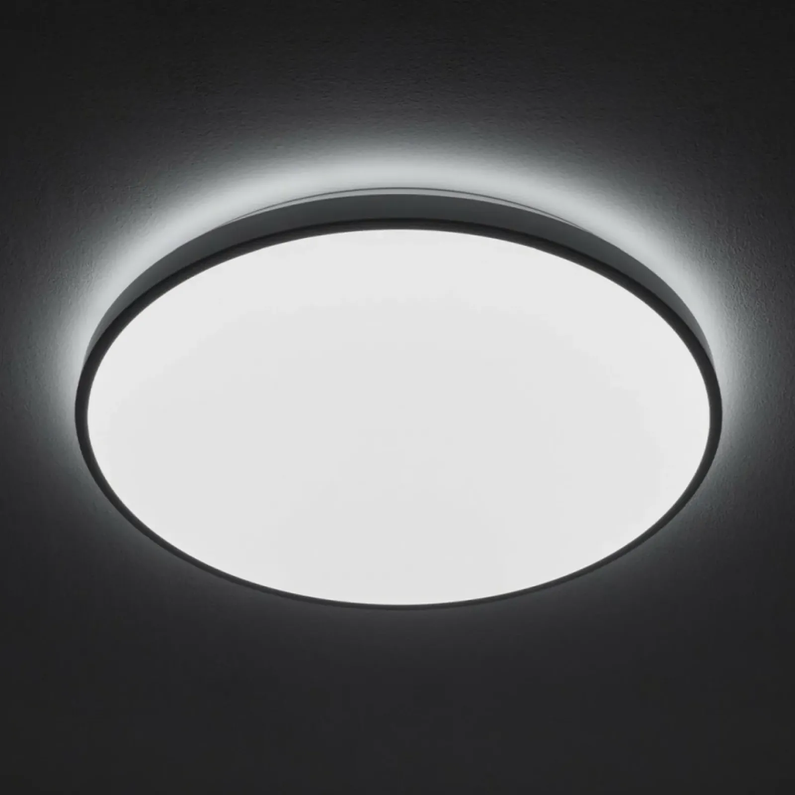 Sklep Kaja Lampa LED do łazienki IP44 ⌀49cm 4000K 10980 AGNES LED | Kaja* Lampy Do Łazienki|Plafony Nowoczesne