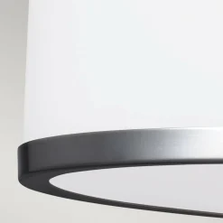 Sklep Kaja Lampa sufitowa, szklana FE-PROSPECT-PARK-SF z serii PROSPECT PARK Flash Sale