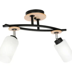 Sklep Kaja Lampa sufitowa z dwoma reflektorami, z kloszami LX 1521 z serii TOKIO New