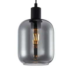 Sklep Kaja Lampa wisząca z dymionym szkłem PND-29258S-1-BK-SG z serii ZONA Fashion