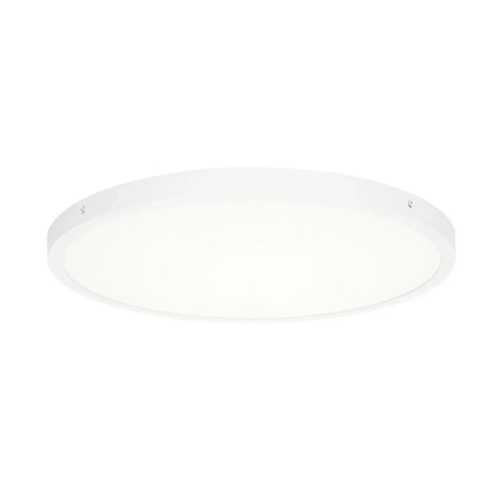Sklep Kaja Minimalistyczny plafon ⌀50cm 3000K PLF-7001-500R-WH-3K z serii PELARO* Lampy Led|Plafony Nowoczesne
