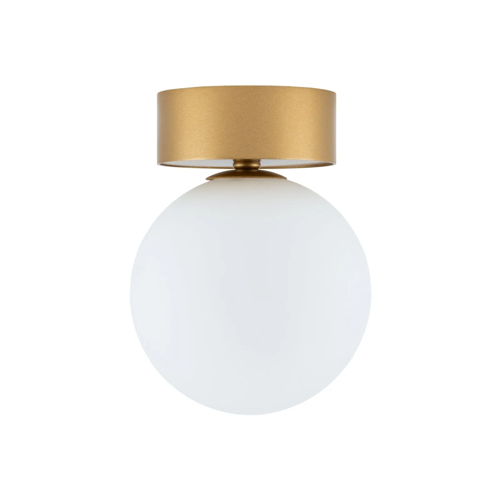 Sklep Kaja Pojedyncza lampa sufitowa z mlecznym kloszem 10623 KIER | Kaja* Plafony Nowoczesne