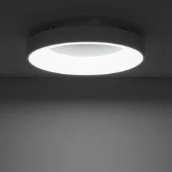 Sklep Kaja Ponadczasowy plafon LED ⌀48cm 4000K 11204 NIKKI LED | Kaja Oświetlenie* Plafony Nowoczesne|Lampy Led
