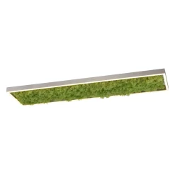 Sklep Kaja Prostokątny plafon LED z naturalnym mchem 15623-66 GREEN KNUT | Kaja* Plafony Nowoczesne|Lampy Led