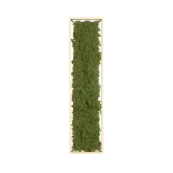 Sklep Kaja Prostokątny plafon LED z naturalnym mchem 15623-66 GREEN KNUT | Kaja* Plafony Nowoczesne|Lampy Led