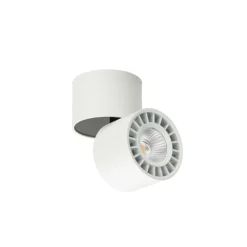 Sklep Kaja Regulowany, biały spot natynkowy CLN-97018-12W-L-3K z serii HERIOS* Lampy Led
