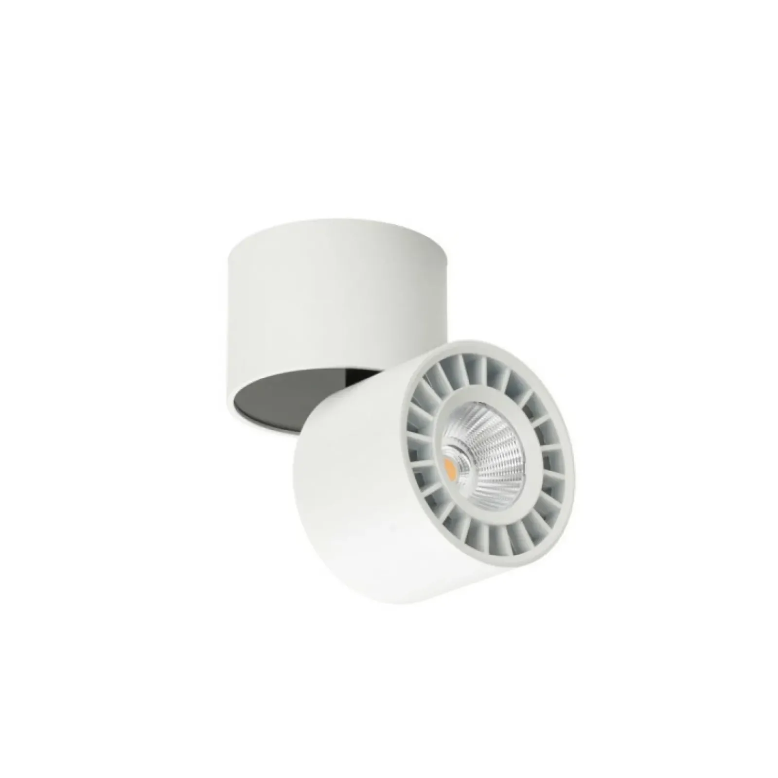 Sklep Kaja Regulowany, biały spot natynkowy CLN-97018-12W-L-3K z serii HERIOS* Lampy Led