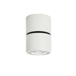 Sklep Kaja Regulowany, biały spot natynkowy CLN-97018-12W-L-3K z serii HERIOS* Lampy Led