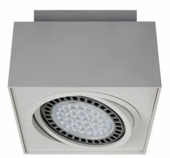 Sklep Kaja Spot box z ruchomym oczkiem 20074-WH BOXY CL 1| Kaja Oświetlenie* Plafony Nowoczesne