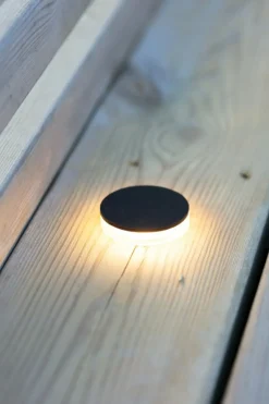 Sklep Kaja Spot wpustowy, mocowany w ziemi, 45mm, moc 3W 106934 z serii GARDEN24* Lampy Naświetleniowe