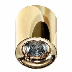 Sklep Kaja Spot z nieruchomym światłem LED, klasyczna tuba AZ2846 MANE | Kaja* Lampy Led