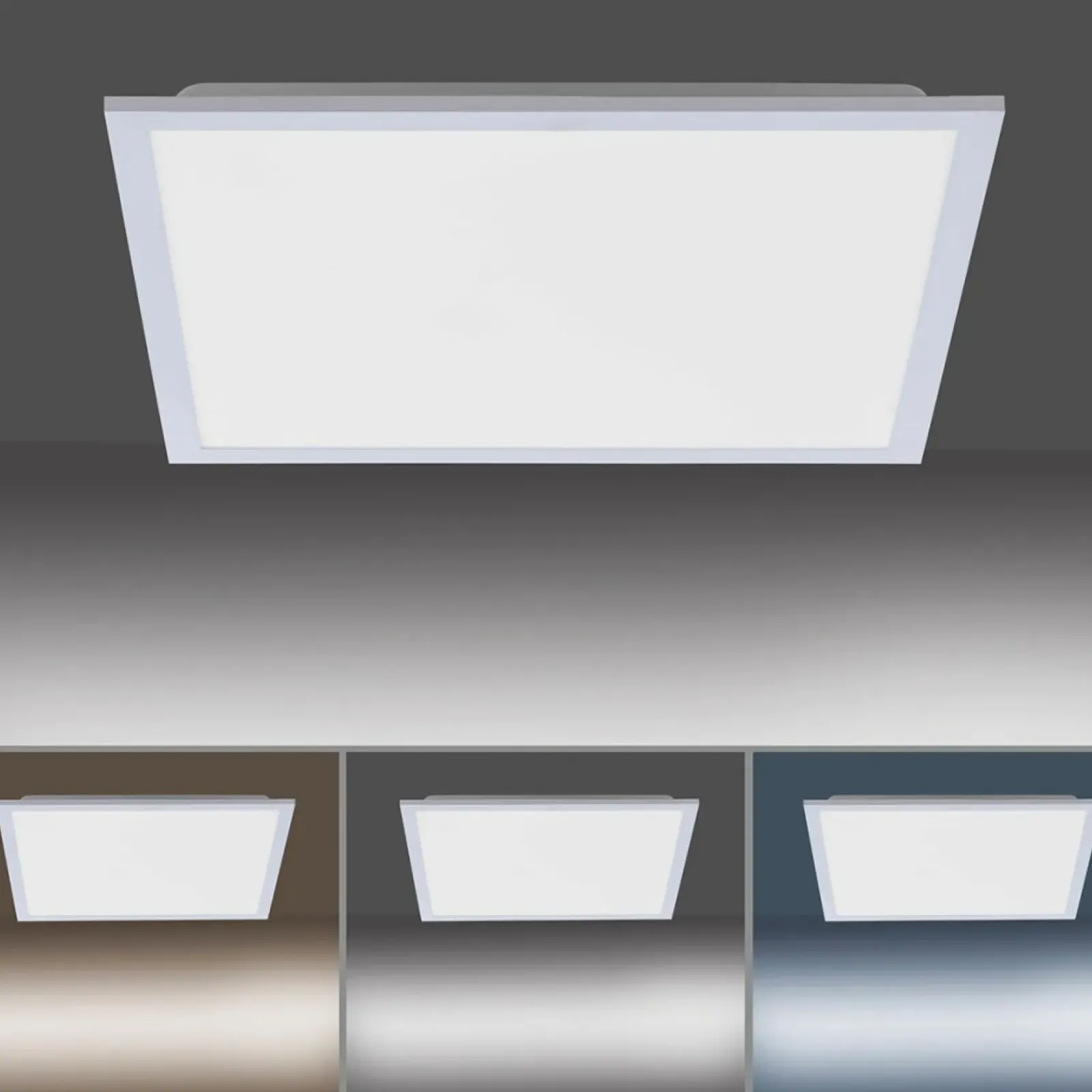 Sklep Kaja plafon LED, ciepła barwa światła 14752-21 z serii FLAT | Kaja* Plafony Nowoczesne|Lampy Led